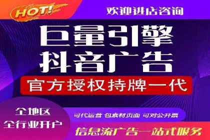 成功SEM托管案例解析